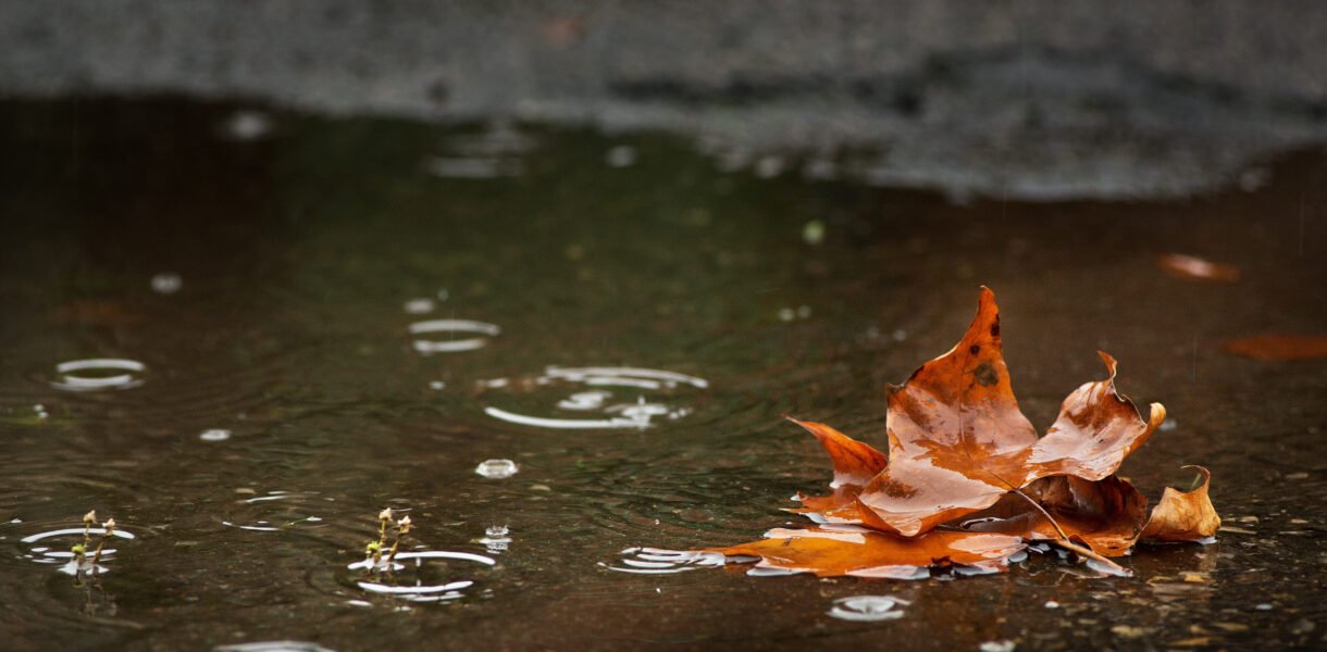 Fotografie: Alles wat je moet weten voor prachtige foto's
