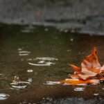 Evenementen trends en innovaties: De nieuwste ontwikkelingen in 2021