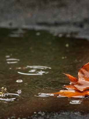 Fotografie: Alles wat je moet weten voor prachtige foto's