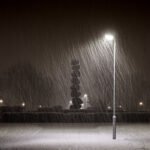 Halal restauranten: ontdek onze heerlijke halal gerechten!