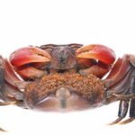 Luxe hotel met zwembad in Nederland: de perfecte vakantiebestemming