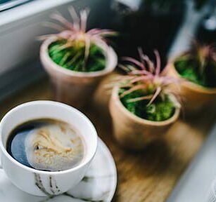 "Heerlijke pompoen recepten voor de herfstmaanden"