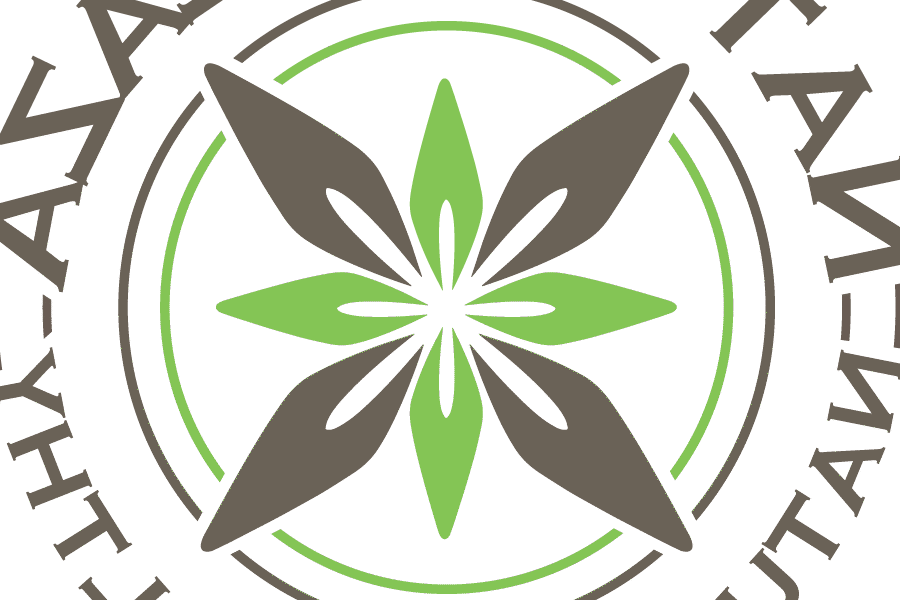 Heerlijke veganistische recepten: gezond en milieuvriendelijk eten