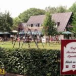 Vegetarische recepten: heerlijke en gezonde gerechten voor elk moment van de dag