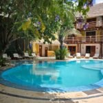 “Gezonde vegan recepten: heerlijke en voedzame gerechten voor plantaardige liefhebbers”